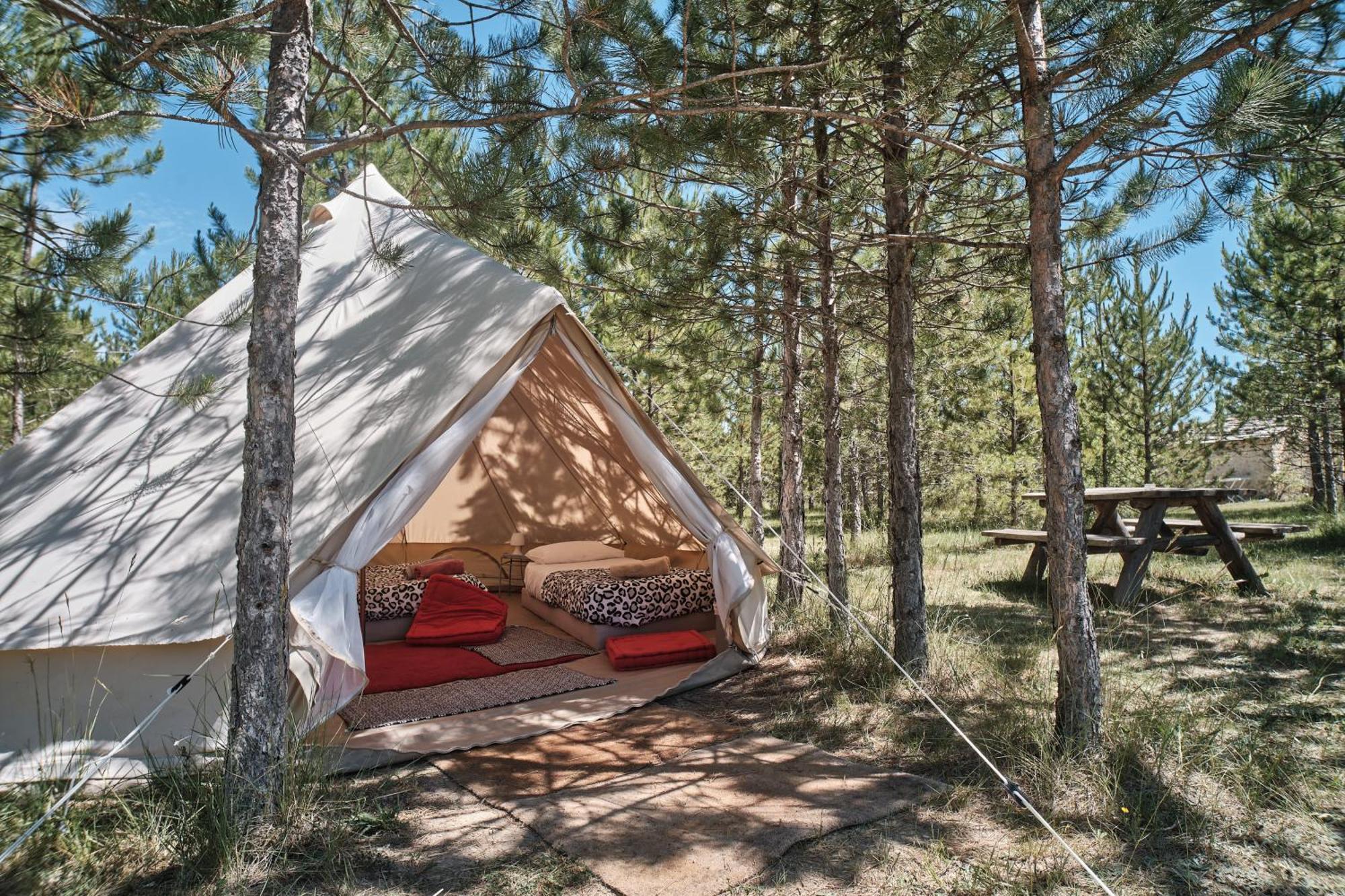 Les Maisons De Chante Oiseau Sigonce Quarto foto