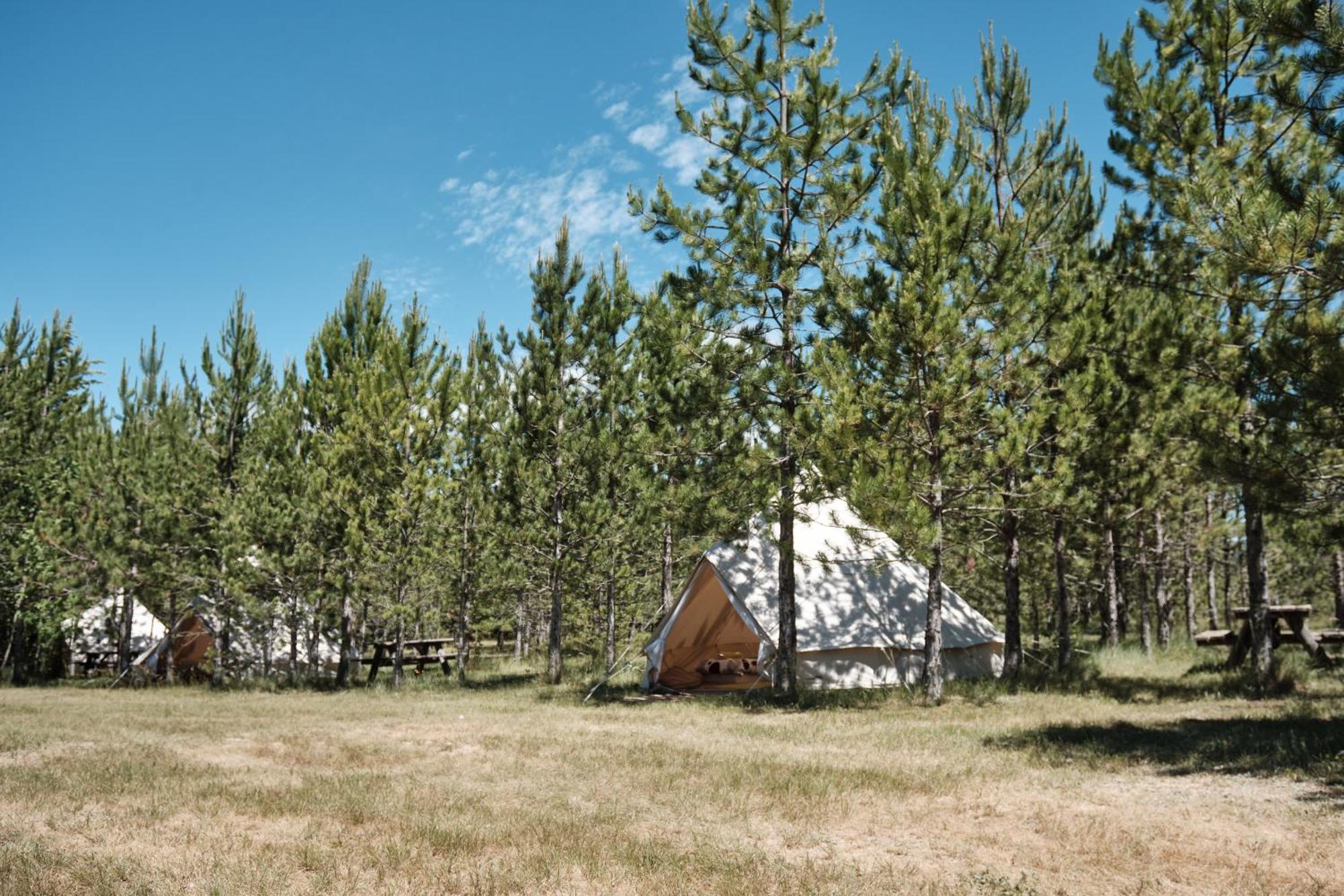 Les Maisons De Chante Oiseau Sigonce Quarto foto
