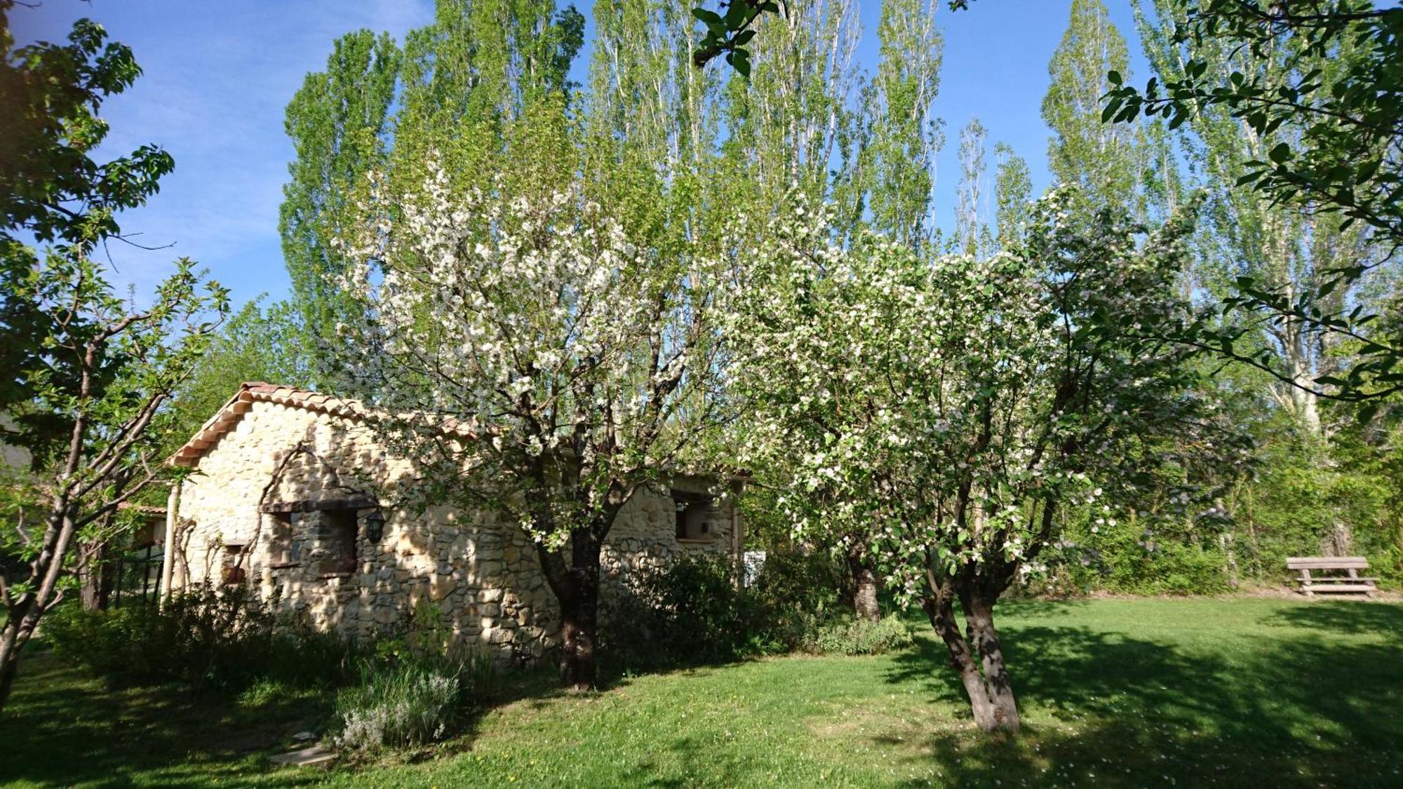Les Maisons De Chante Oiseau Sigonce Quarto foto